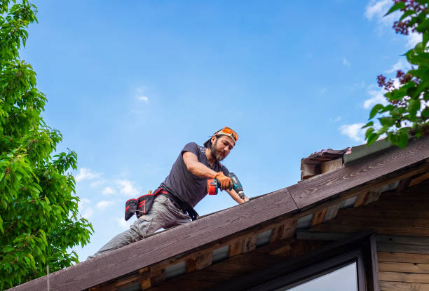 Best Cold Roofs  in Oronoco, MN
