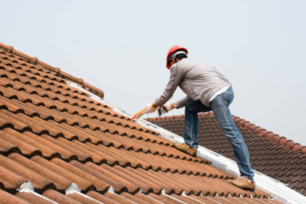Best Slate Roofing  in Oronoco, MN
