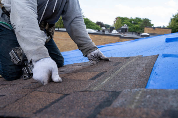 Best Chimney Flashing Repair  in Oronoco, MN